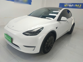 特斯拉 Model Y 2021款 长续航全轮驱动版