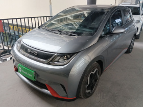 比亚迪 海豚 2021款 405km 时尚版