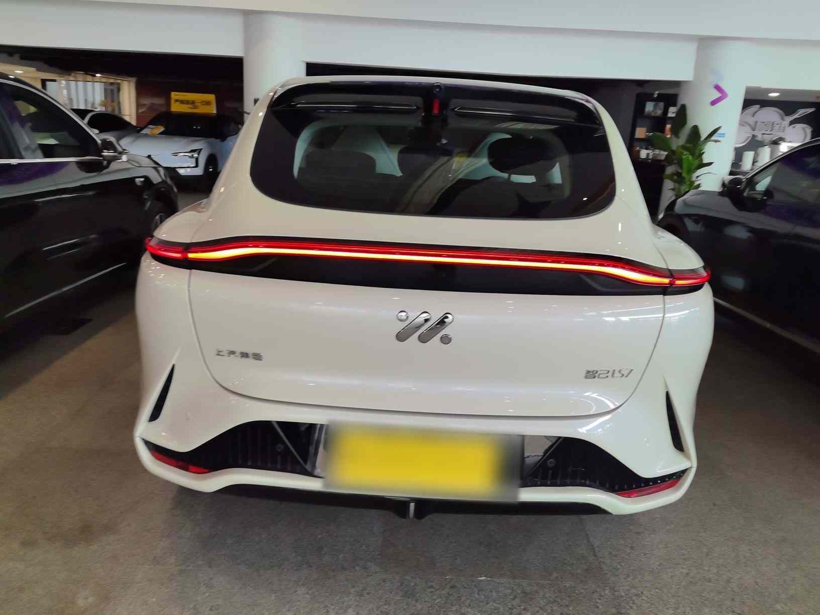 智己汽车 智己LS7 2023款 77kWh Urban Fit Pro后驱版(3)