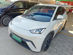 比亚迪 海鸥 2023款 飞翔版