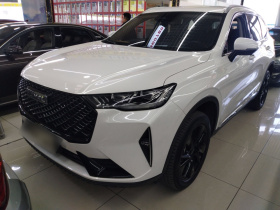 哈弗H6 2021款 第三代 2.0T 自动四驱Max