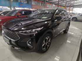 哈弗F7 2020款 2.0T 两驱i范