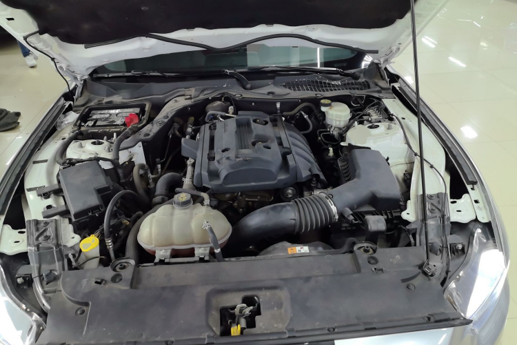 福特Mustang（平行进口） 局部细节24