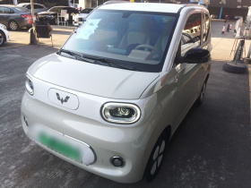 五菱汽车 宏光MINIEV 2024款 第三代 215km 进阶版