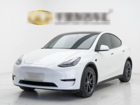 特斯拉 Model Y 2024款 后轮驱动版
