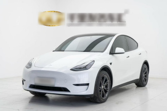 特斯拉 Model Y 2024款 后轮驱动版