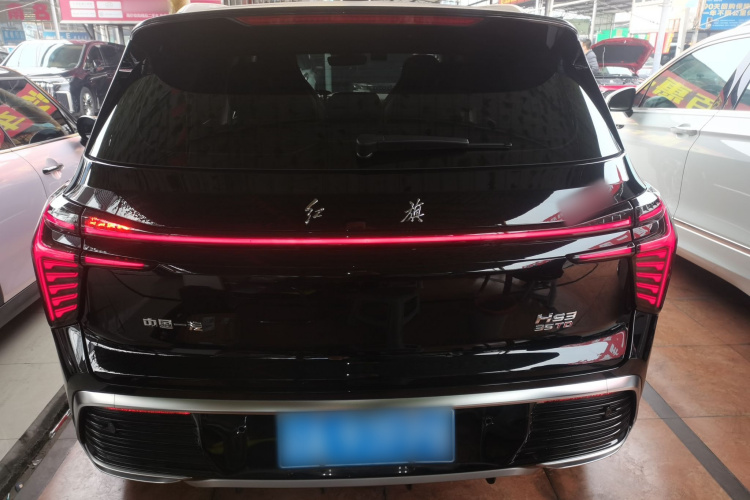 红旗HS3 2024款 1.5T 善为版车身外观6004