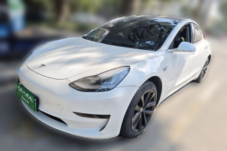 特斯拉 Model 3 2019款 标准续航后驱升级版