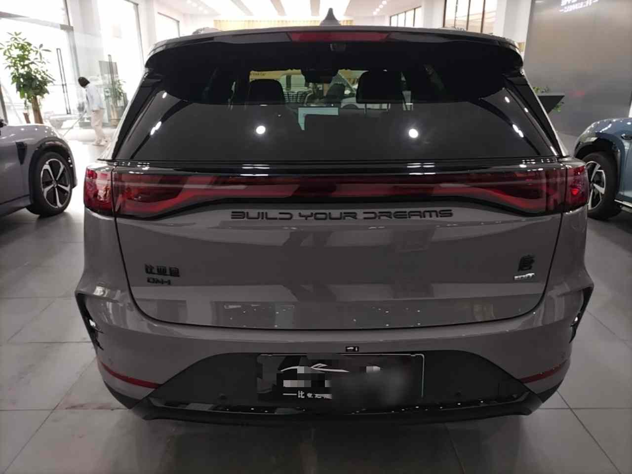 比亚迪 唐新能源 2025款 智驾版 DM-i 115KM 旗舰型(3)