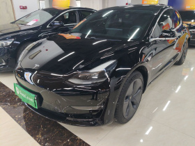 特斯拉 Model 3 2020款 长续航后轮驱动版