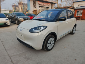 五菱汽车 五菱缤果 2023款 203km 轻享款