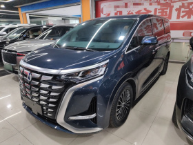 腾势D9 2024款 DM-i 980 四驱旗舰型