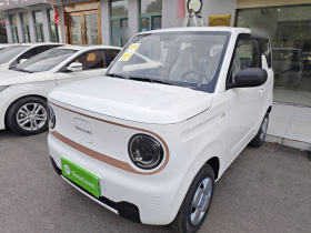 吉利银河 2024款 熊猫mini 200km 耐力熊