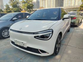 东风纳米 纳米01 2024款 330 Lite