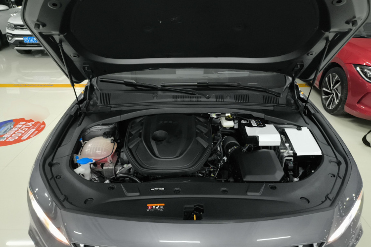 吉利汽车 星瑞 2025款 东方曜 2.0TD 望月版机舱底盘24