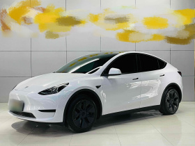 特斯拉 Model Y 2024款 后轮驱动版
