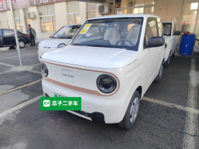 吉利银河 2024款 熊猫mini 200km 耐力熊