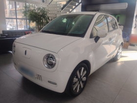 欧拉黑猫 2021款 405km 长续航型