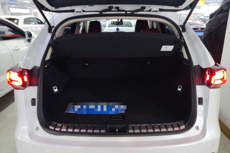 雷克萨斯NX 2020款 200 前驱 锋行版 国VI机舱底盘23