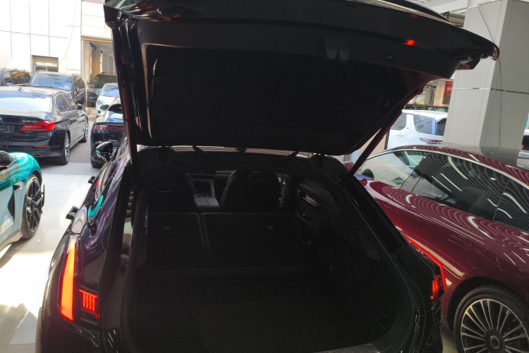 极氪001 2023款 WE版 100kWh局部细节23