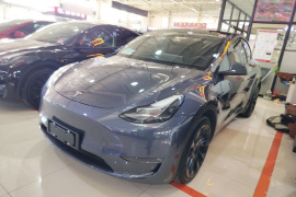 特斯拉 Model Y 2021款 长续航全轮驱动版