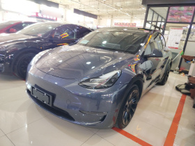 特斯拉 Model Y 2021款 长续航全轮驱动版
