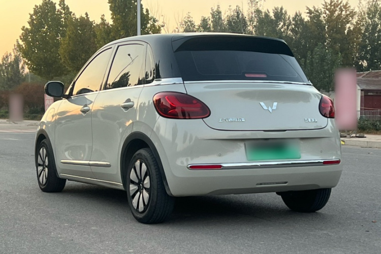 五菱汽车 五菱缤果 2023款 333km 灵犀互联款车身外观6010