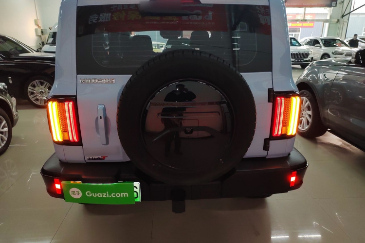 坦克300新能源 2024款 Hi4-T车身外观6