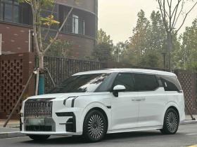 极氪009 2022款 WE版