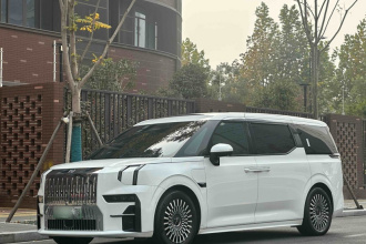 极氪009 2022款 WE版