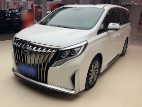 广汽传祺 传祺M8 2021款 大师系列 390T 至尊版