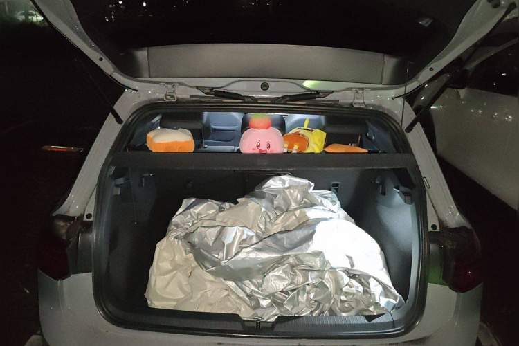 大众 高尔夫 2023款 改款 280TSI DSG R-Line Lite中控内饰23