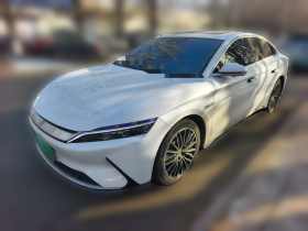 比亚迪 汉 2020款 EV 超长续航版豪华型