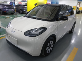 五菱汽车 五菱缤果 2023款 333km 悦享+款