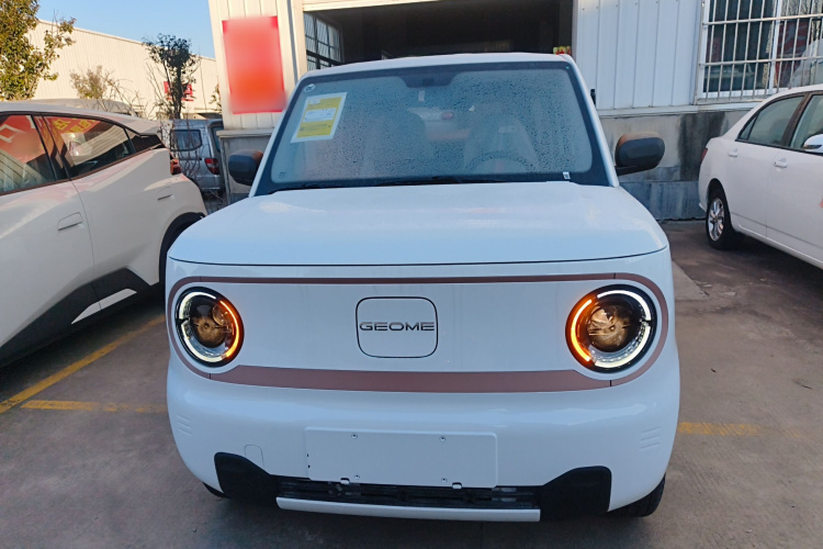 吉利银河 2024款 熊猫mini 200km 耐力熊车身外观6001