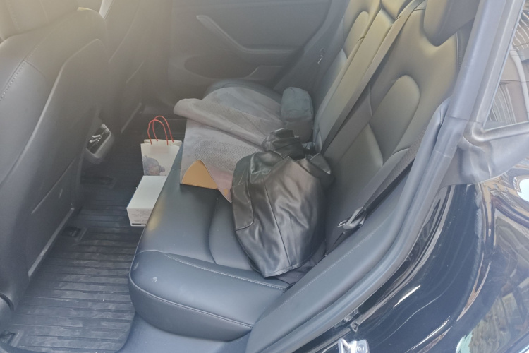 特斯拉 Model 3 2022款 后轮驱动版中控内饰21