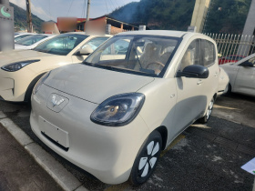 五菱汽车 宏光MINIEV 2025款 四门版 进阶款