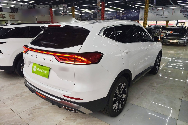 哈弗H6 2023款 国潮版 1.5T 自动冠军版车身外观7