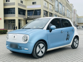 欧拉黑猫 2019款 351km 灵趣版