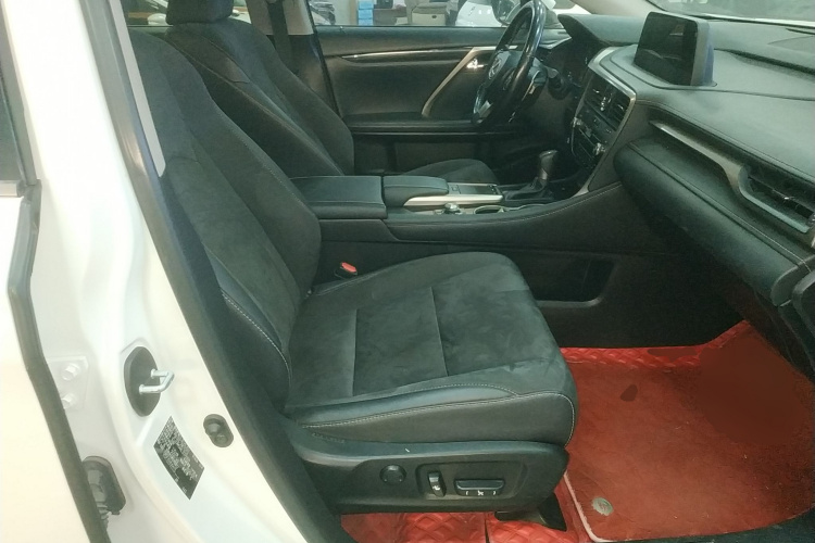 雷克萨斯RX 2020款 300 两驱精英版 国VI局部细节41