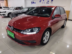 大众 高尔夫 2019款 1.6L 自动时尚型 国V