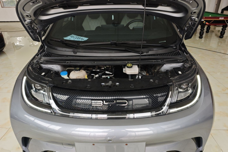 比亚迪 海豚 2023款 420km 自由版机舱底盘24