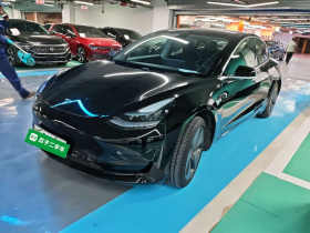 特斯拉 Model 3 2019款 标准续航后驱升级版