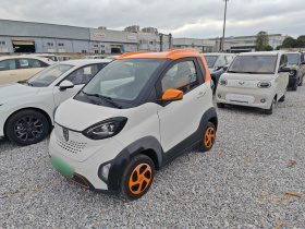 宝骏E100 2019款 250KM 智行版