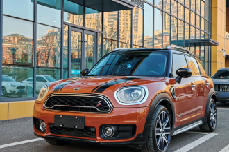 MINI Countryman 2019款 2.0T COOPER S ALL4 艺术家