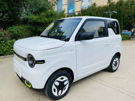 吉利银河 熊猫 2025款 210km 元气熊