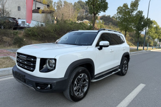 哈弗大狗 2021款 2.0T DCT四驱中华田园犬版