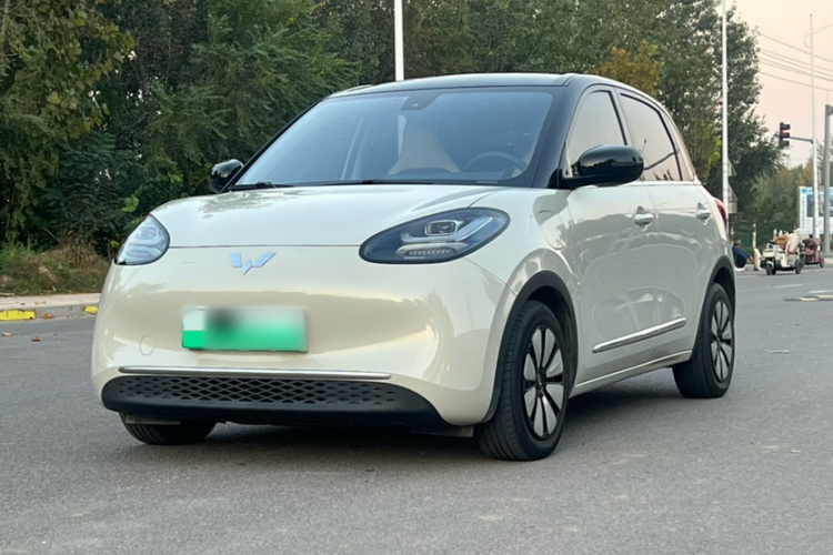 五菱汽车 五菱缤果 2023款 333km 灵犀互联款车身外观6005