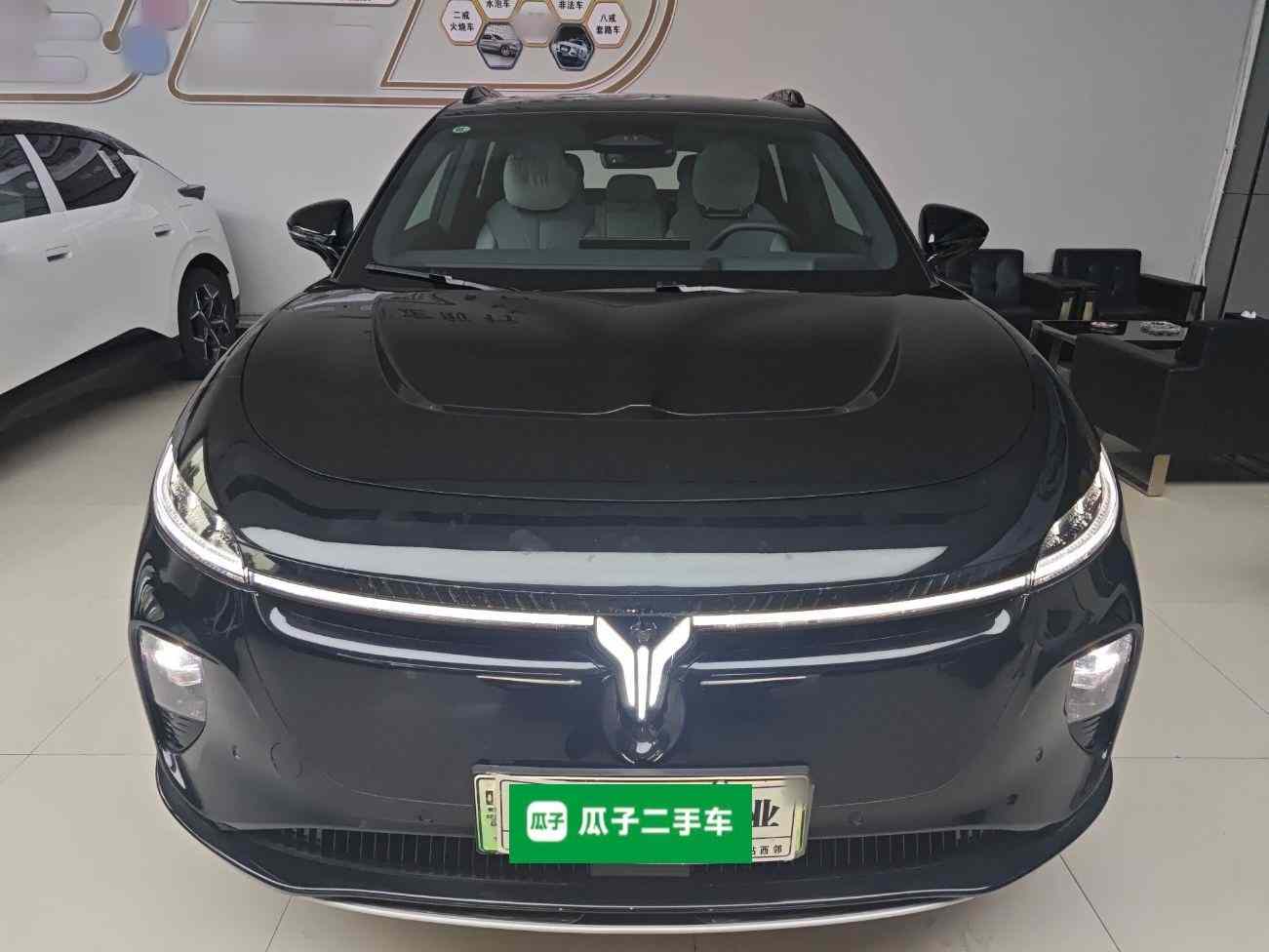 岚图汽车 岚图知音 2024款 长续航超充版(1)