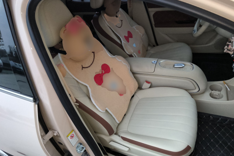 欧拉好猫 2023款 401km标准续航 豪华型 磷酸铁锂局部细节41